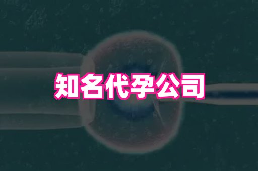河南助孕网站 1