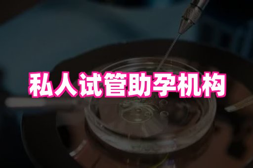 河南助孕网站 2