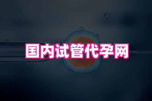 河南助孕网站 4